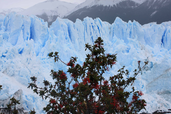 L'impressionnant Perito Moreno en Argentine