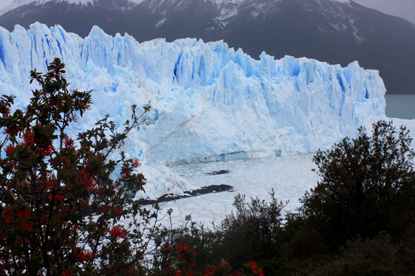 Le glacier du Perito Moreno en Argentine