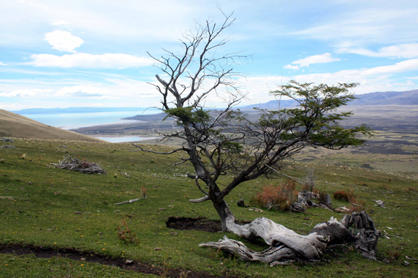 Paysage de Patagonie