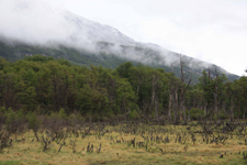 Archipel de la Terre de Feu