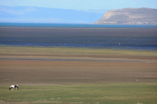 Paysage du lago Argentino