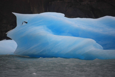 Iceberg du Lago Argentino