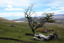 Patagonie argentine