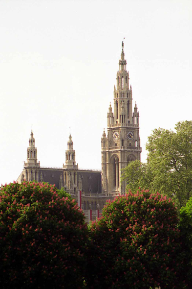 Le Rathaus (Hôtel de Ville) de Vienne