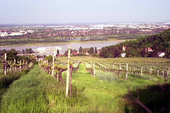 Vienne, Heurigen - tavernes