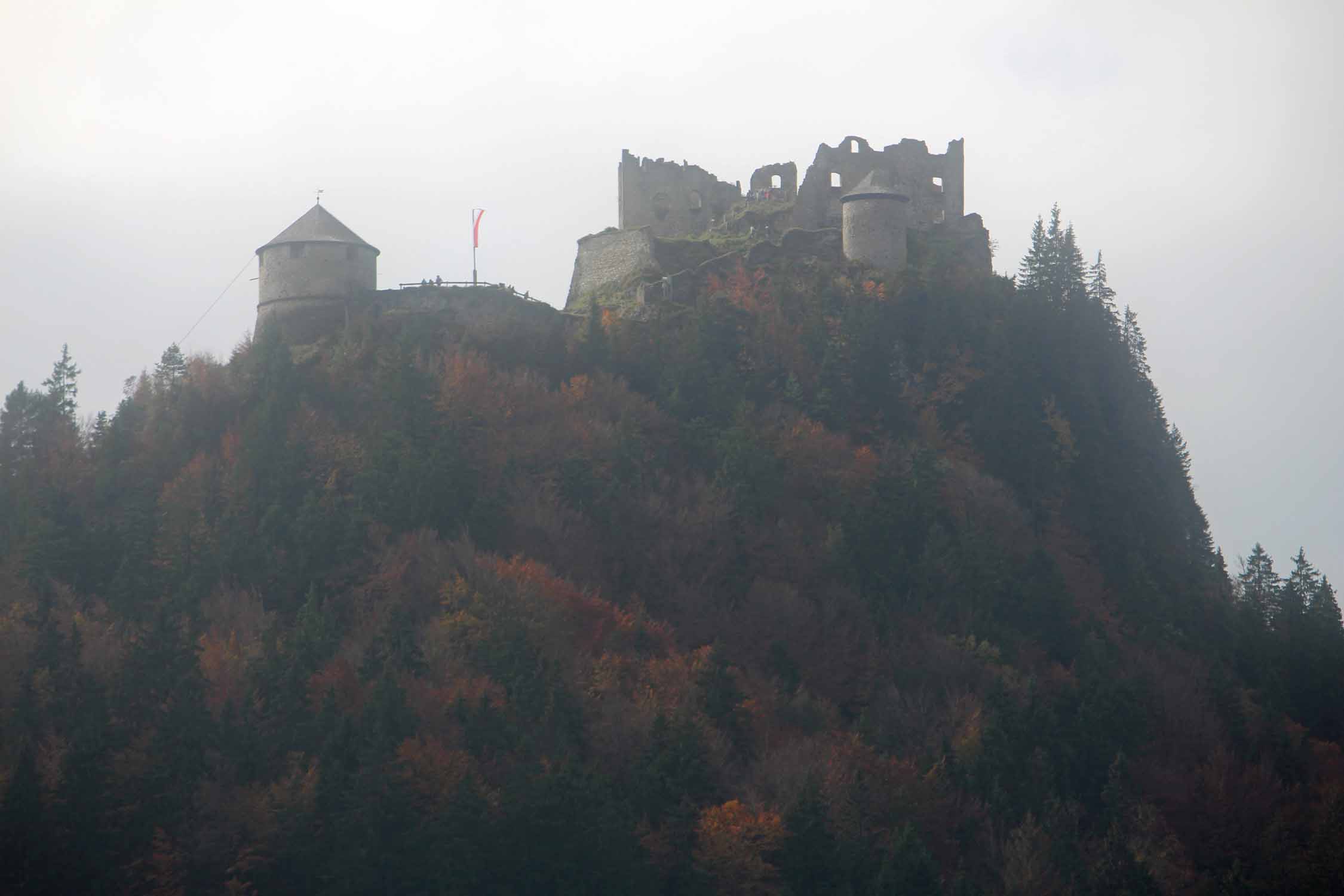Les ruines du château d'Ehrenberg