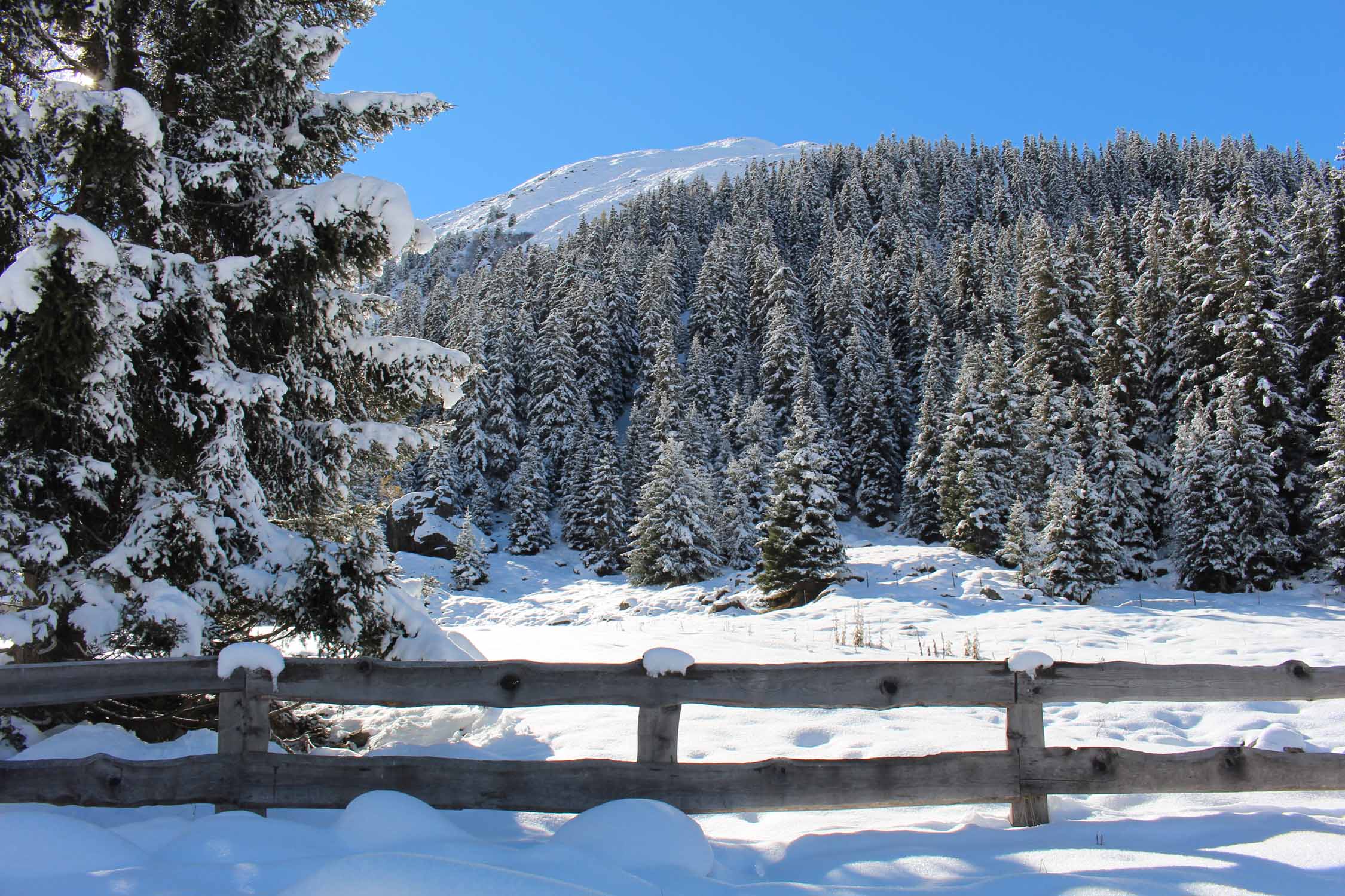 Mittelberg, Paysage de forêt et de neige