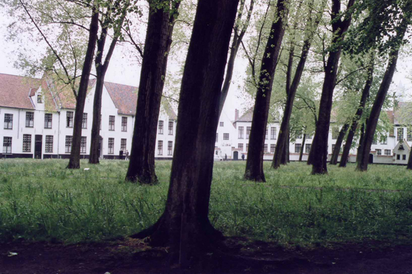 Le magnifique Béguinage de Bruges