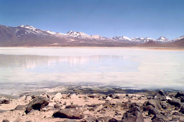 Splendide vue de la Laguna Blanca