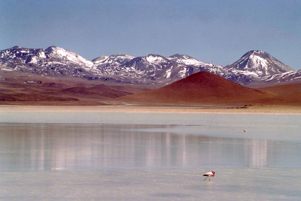 Bolivie, paysage de la Laguna Blanca