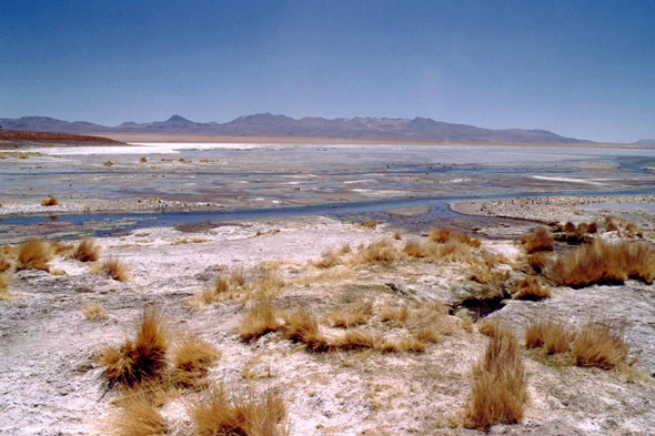 Le magnifique Salar de Chalviri