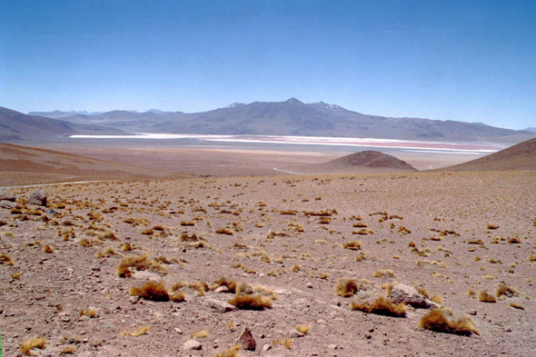 Extraordinaire paysage de la Laguna Colorada