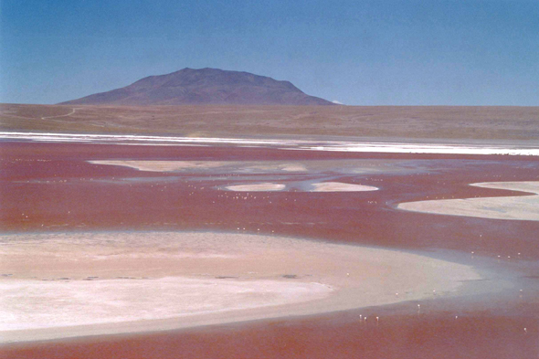 La Laguna Colorada en Bolivie