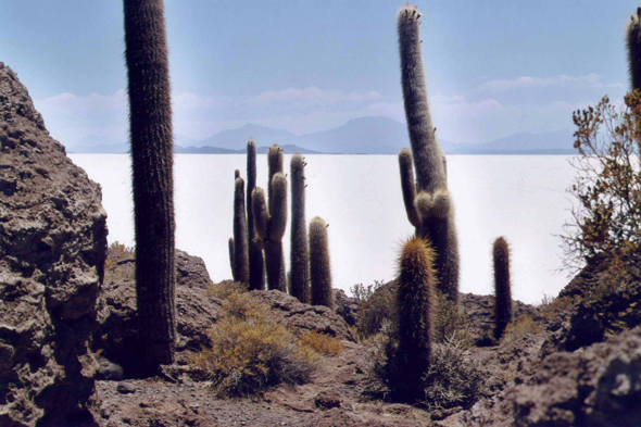 La Isla de los Pescadores, Bolivie