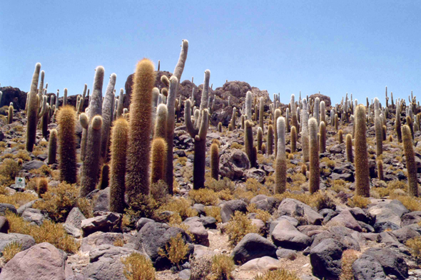 Isla de los Pescadores, paysage