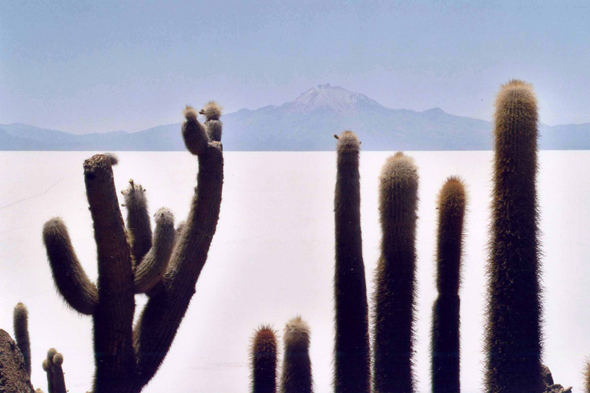 Isla de los Pescadores et le volcan Tunupa