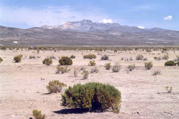 Paysage près de Cosuña