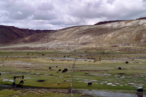 Paysage du parc national de Sajama