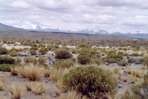 Le magnifique parc national de Sajama