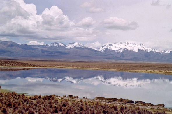 Splendide vue du Sajama