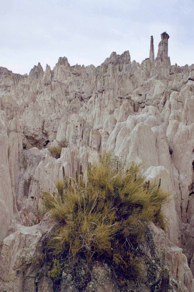 La Paz, vallée de la Lune