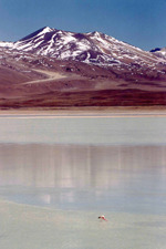 Laguna Blanca au Sud Lipez