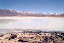 Paysages de la Laguna Blanca