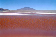 Vue sur Laguna Colorada