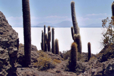 Isla de los Pescadores