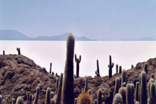 Isla de los Pescadores et Uyuni