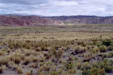 Paysages de Callapa