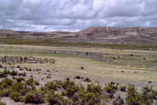 Panorama de Callapa