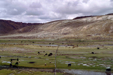 Paysages du parc national de Sajama