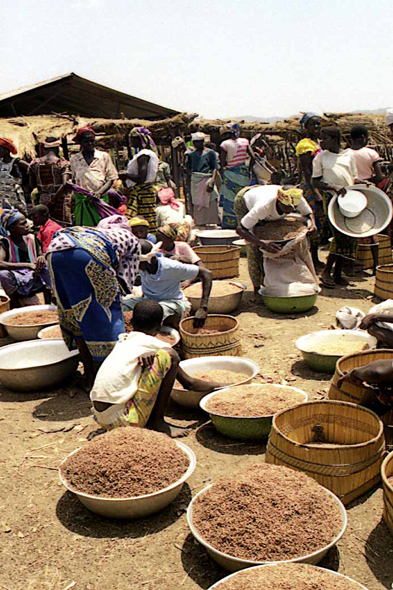 Burkina Faso, bassines de mil