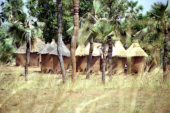 Tengrela, Village Sénoufo