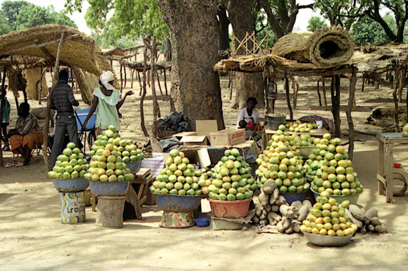 Burkina Faso, mangues dans un marché