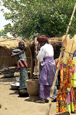 Pilage du mil en pays Lobi