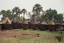 Village s&eacute;noufo de Douna