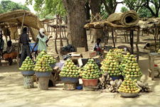 Mangues du Burkina Faso
