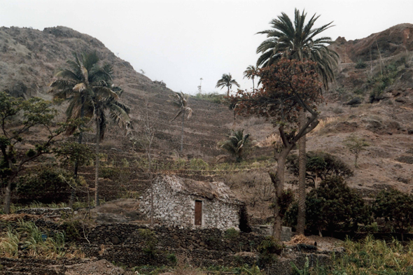 Chã da Igreja, maison