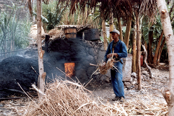 Chã de Pedra, distillerie