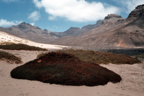 Cap-Vert, São Vicente, Baia do Norte