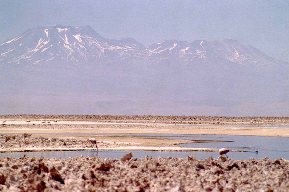 Salar de Atacama, paysage