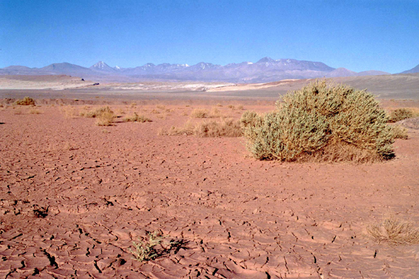 Atacama, Vallée de la Patience