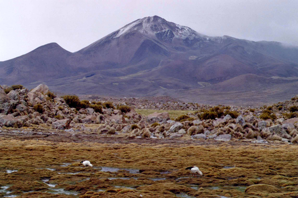 Parc de Lauca, paysage