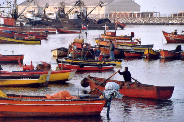 Arica, port de pêche