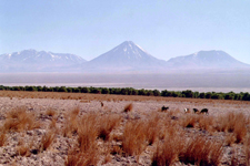 Paysage du d&eacute;sert d'Atacama