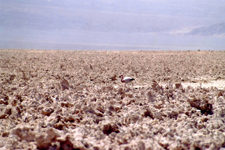 Lagunes du Salar de Atacama