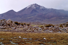 Paysage du parc de Lauca