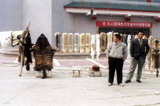 Peaux au march&eacute; de Xian